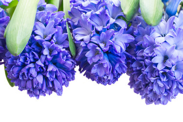 Similar image 7664252