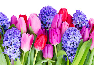 Similar image 7664257