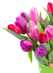 Similar image 7664262