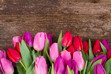 Similar image 7664268