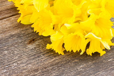 Similar image 7664272