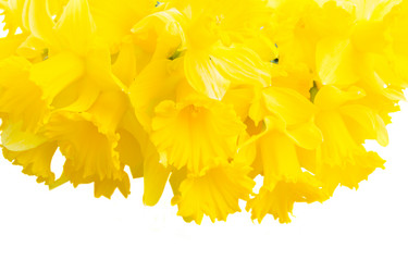 Similar image 7664274