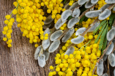 Similar image 7664282