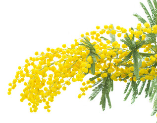 Similar image 7664286