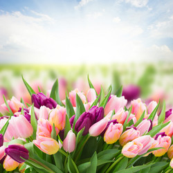 Similar image 7664287