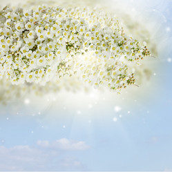 Similar image 7664289