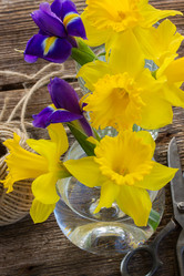 Similar image 7664294