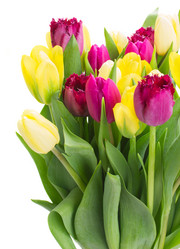 Similar image 7664295