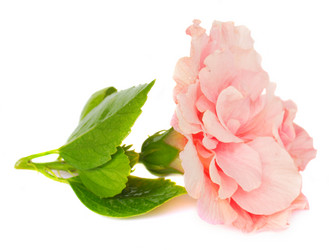 Similar image 7664361