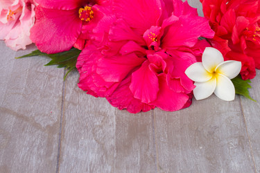 Similar image 7664373