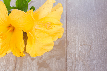 Similar image 7664375