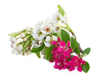 Similar image 7664382