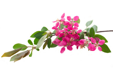 Similar image 7664390