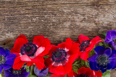 Similar image 7664395