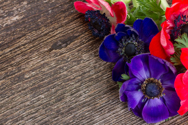 Similar image 7664396