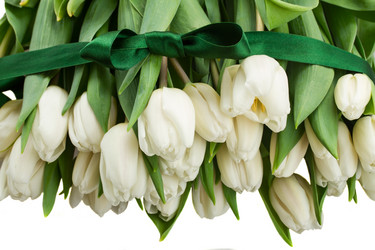 Similar image 7664399