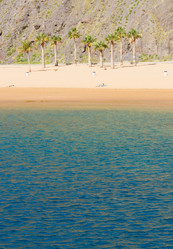 Similar image 7664409