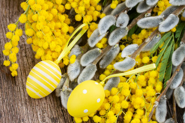 Similar image 7664427