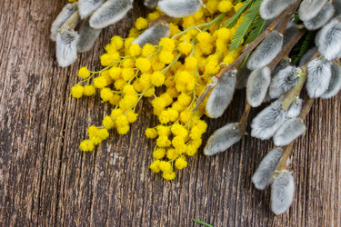 Similar image 7664428