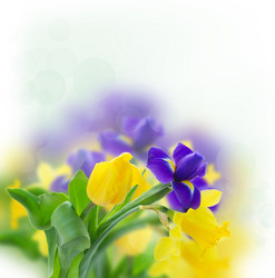 Similar image 7664431