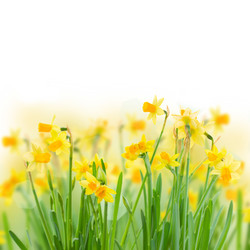 Similar image 7664439