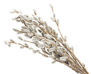 Similar image 7664440