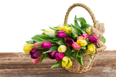 Similar image 7664454