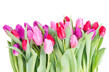 Similar image 7664460