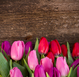 Similar image 7664461