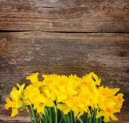 Similar image 7664462