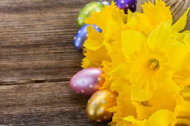 Similar image 7664465