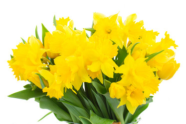 Similar image 7664469