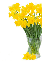 Similar image 7664471