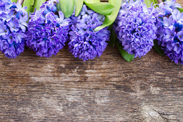 Similar image 7664477