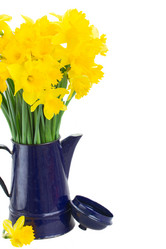 Similar image 7664479