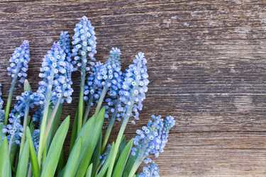 Similar image 7664498