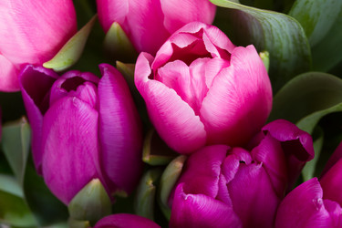 Similar image 7664505