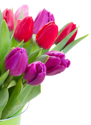 Similar image 7664507