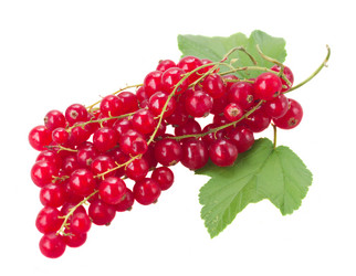 Similar image 7664520