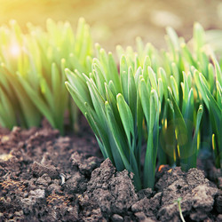 Similar image 7664521