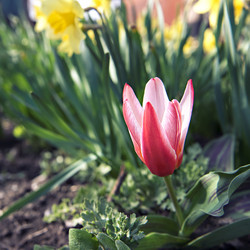 Similar image 7664522