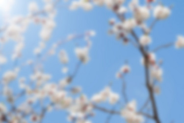 Similar image 7664556