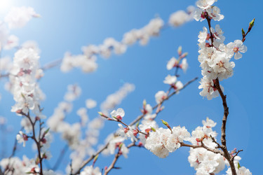 Similar image 7664558