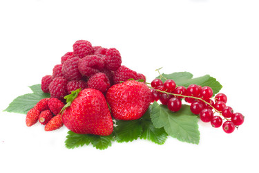 Similar image 7664601