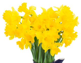 Similar image 7664602