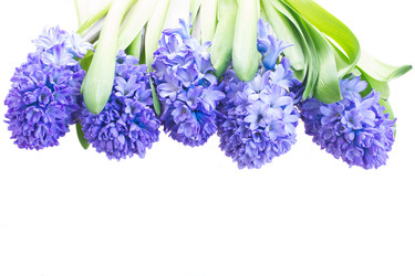 Similar image 7664604