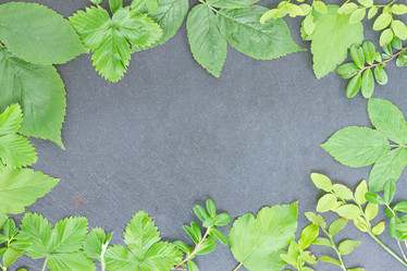 Similar image 7664605