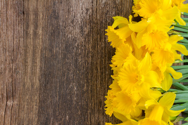 Similar image 7664621