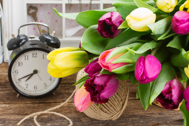 Similar image 7664623