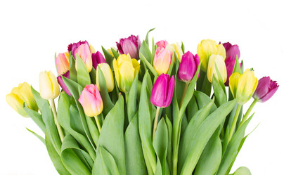 Similar image 7664631